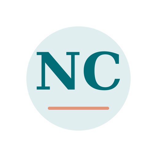 Naso Chimney Services logo